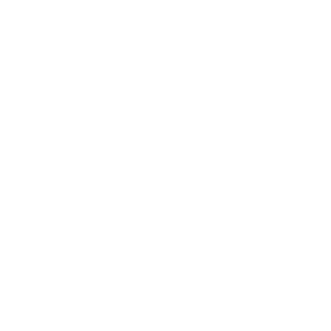 Battery icon