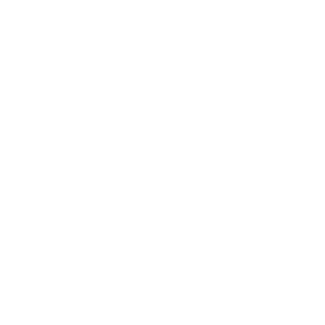 Electric icon