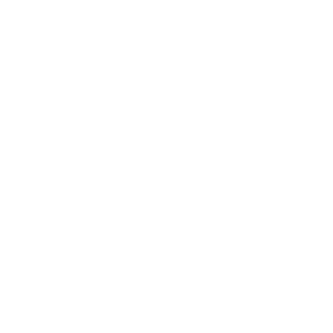 Gas icon