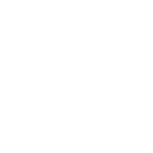 Hydraulic icon