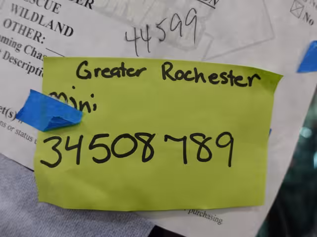 Greater Rochester International Airport, NY report April 10, 2026